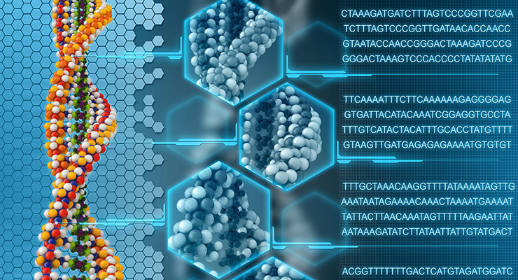 Genómica para todos: seis semilleros pymes acceden a última tecnología de secuenciación