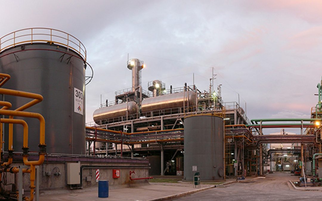 Informe de KPMG sobre biocombustibles alerta sobre estancamiento y reclama medidas
